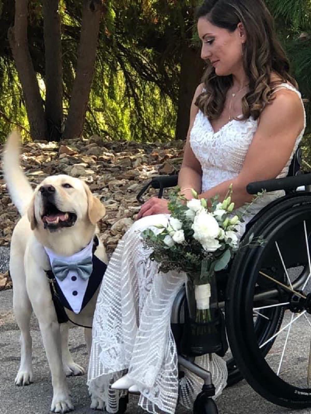Home service dog Lincoln with partner Home service dog Lincoln with partner