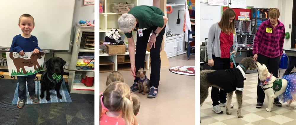Service dogs during some recent education visits Service dogs during some recent education visits