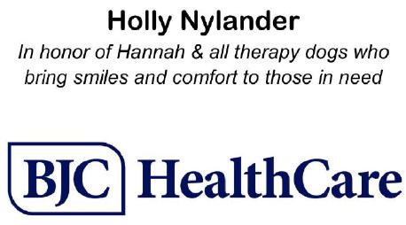 Fearless and Playful Sponsors