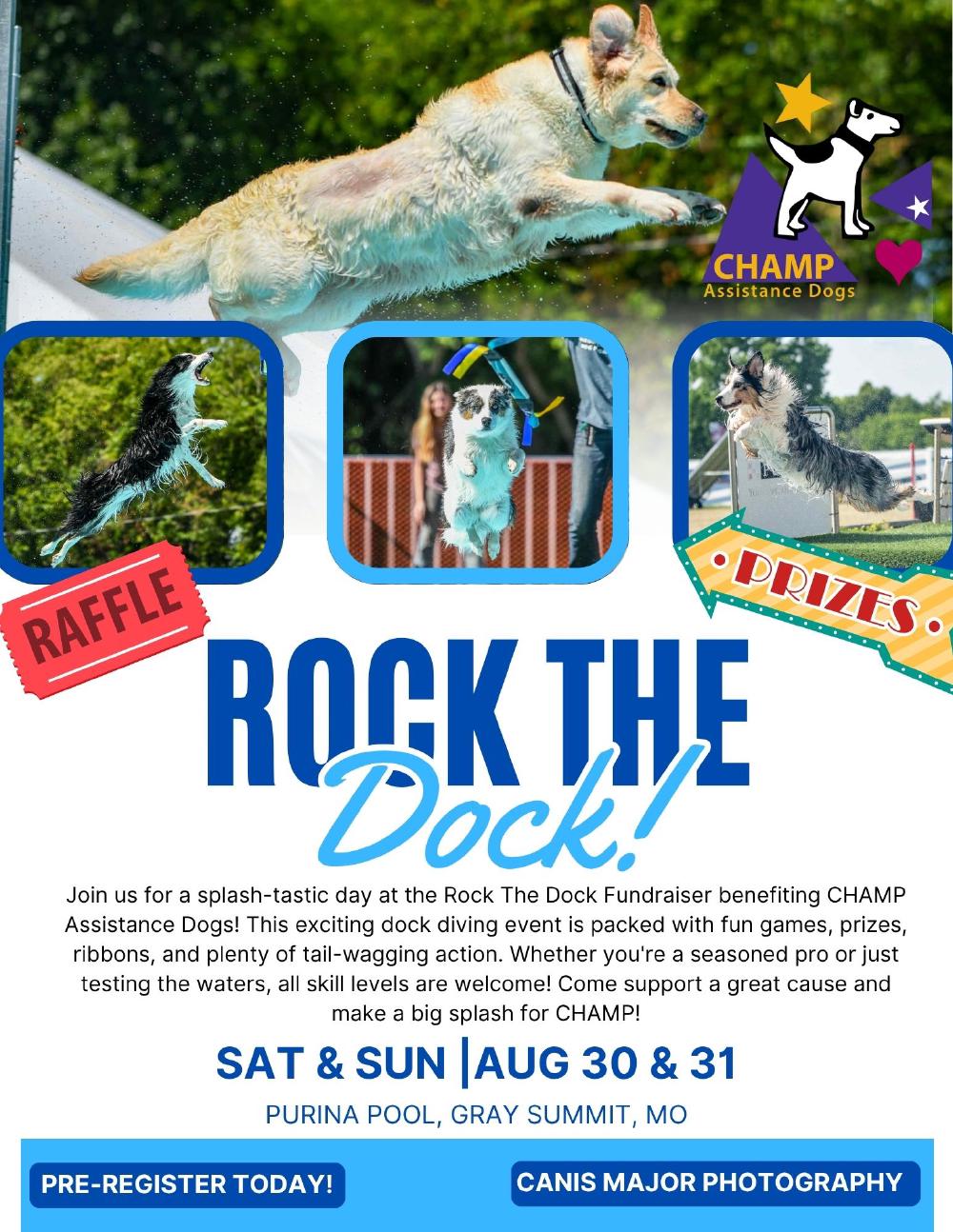 Rock the Dock banner