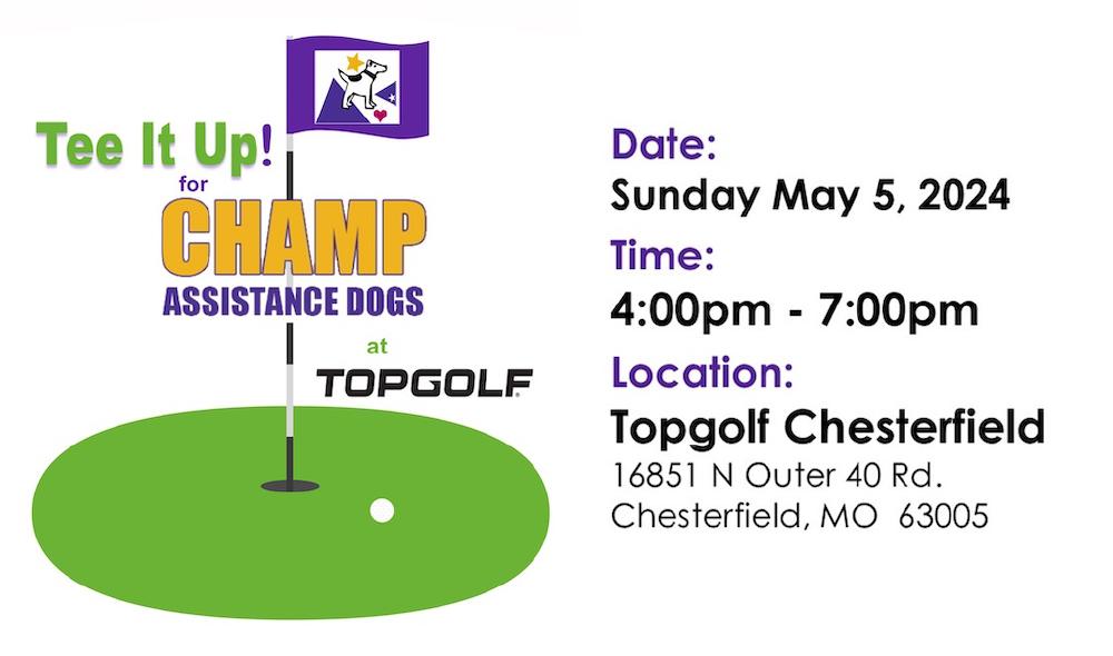 tee it up banner tee it up banner