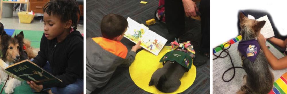 champ dogs in literary settings champ dogs in literary settings