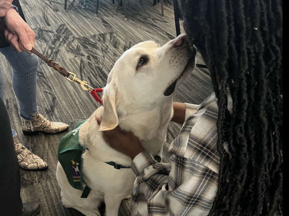 Therapy Dog Serenity.png Therapy Dog Serenity.png